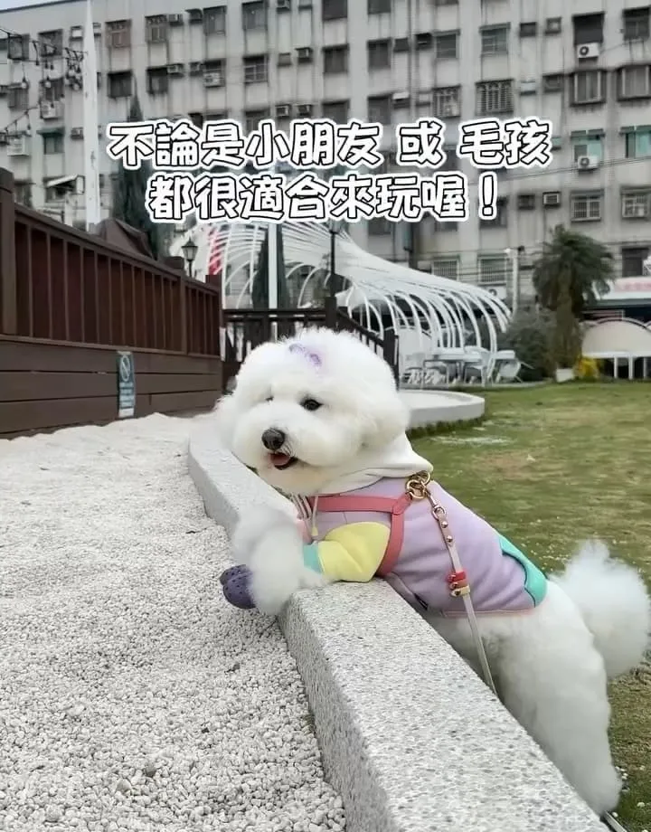 香悅庭園-複合式餐飲咖啡廳 