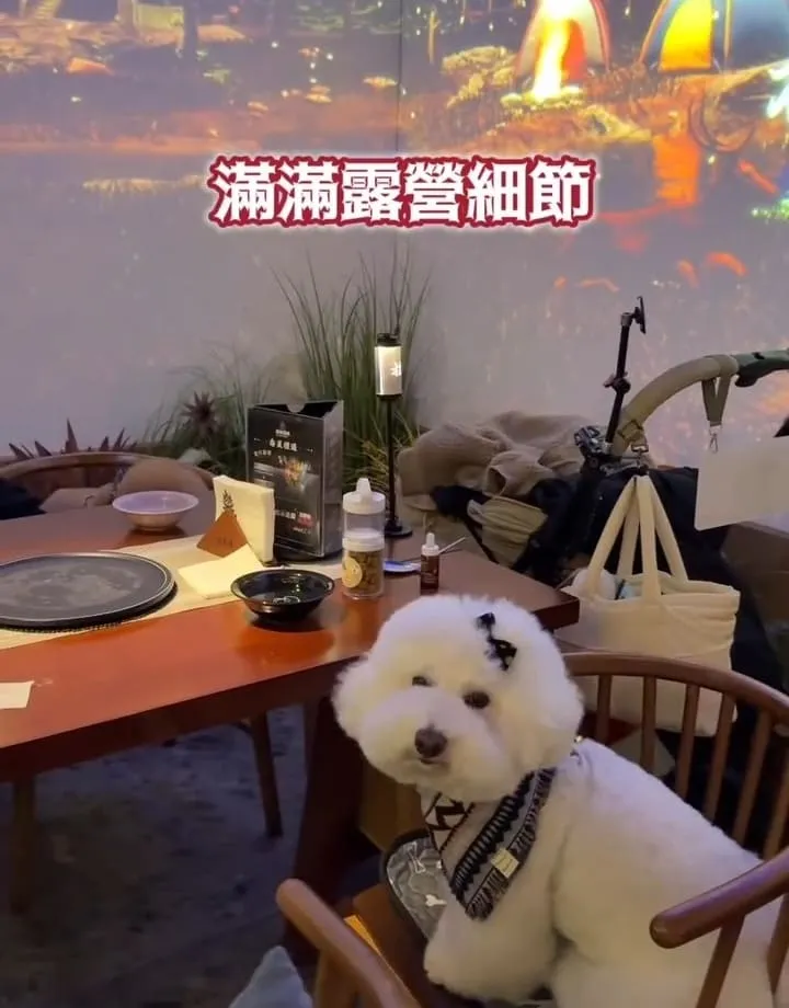 螢火部落放感情大巨蛋店