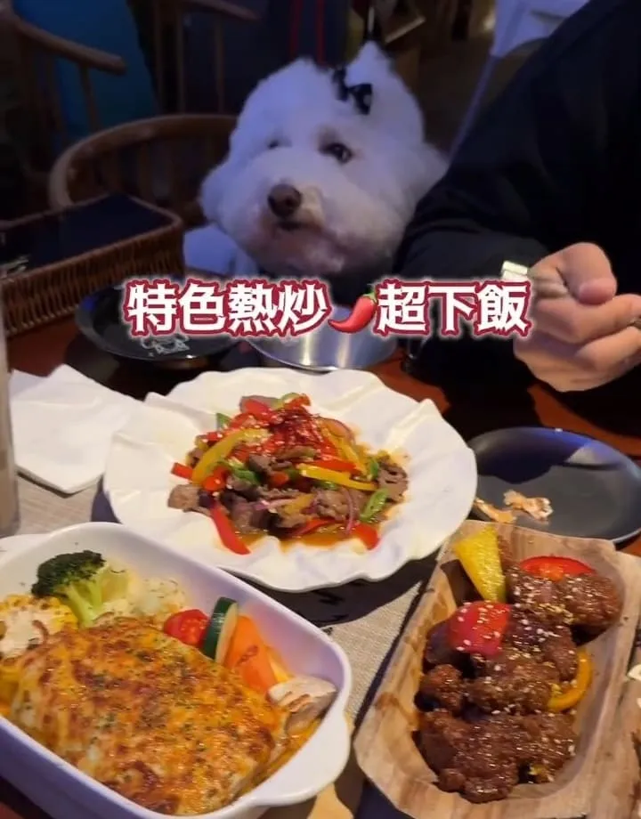 螢火部落放感情大巨蛋店