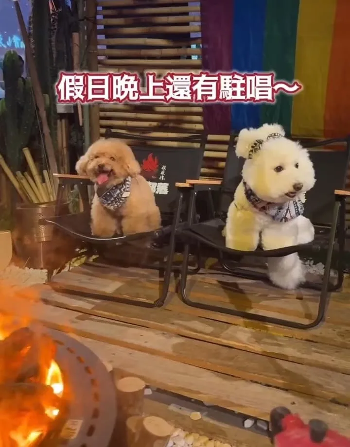 螢火部落放感情大巨蛋店