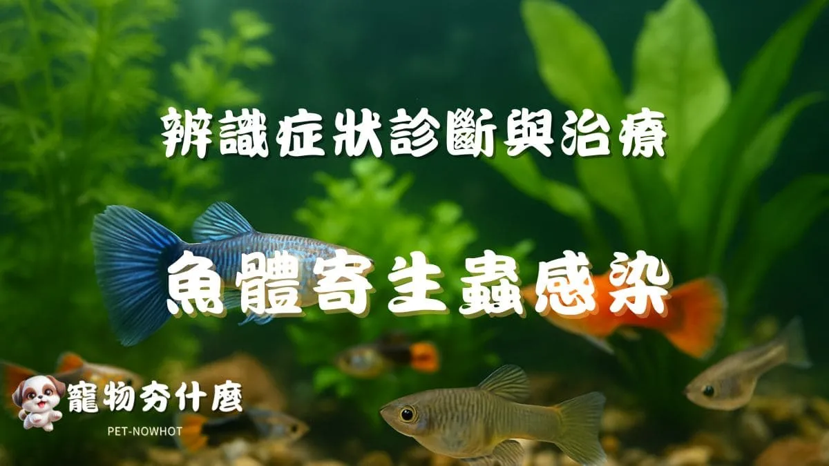 魚體寄生蟲感染解析