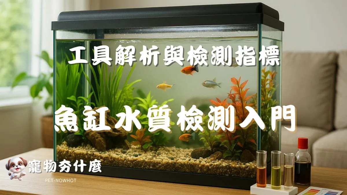 魚缸水質檢測入門