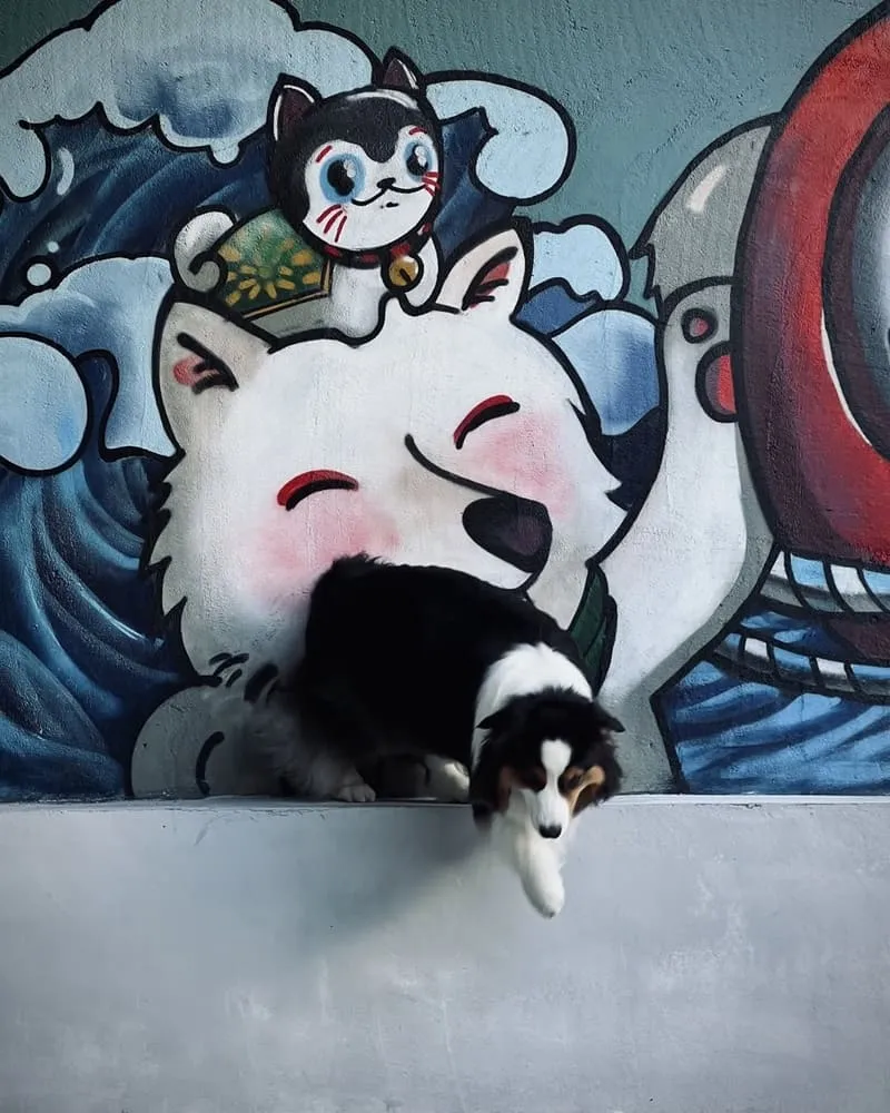 嘉義福呱商行