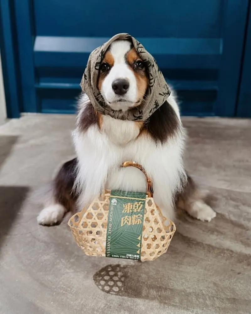 飼糧倉-專業寵物食品 