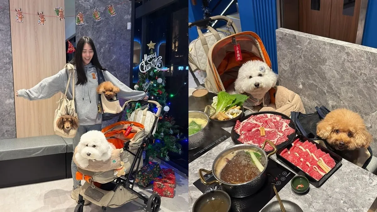 寒聚精緻鍋物桃園正光店