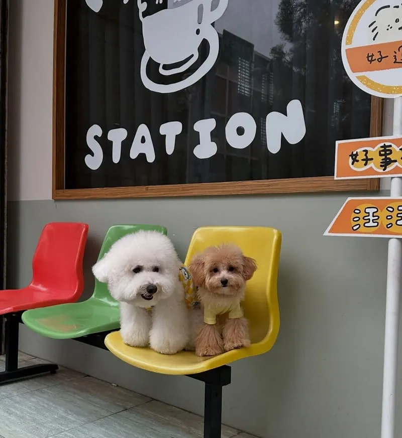 好運站 Haooyun Station