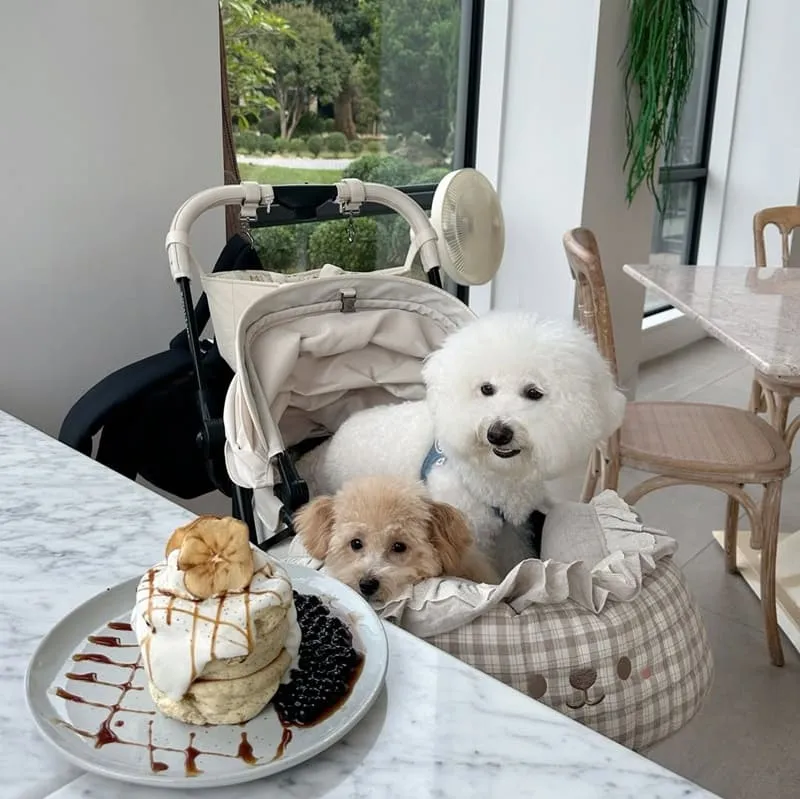 HoneyWood Cafe 晶麒莊園