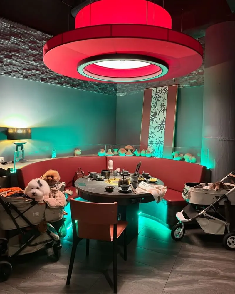 湊湊火鍋大巨蛋店