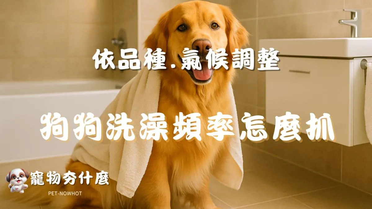 狗狗洗澡頻率怎麼抓？