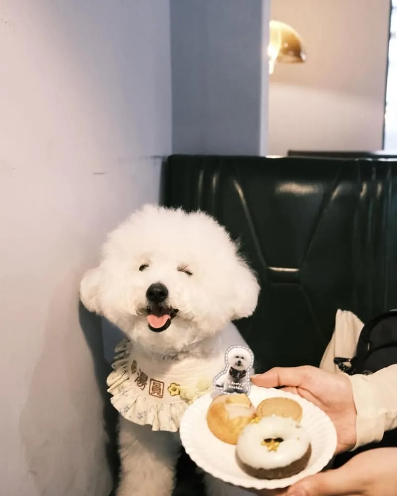 吉米夢綠食咖啡館