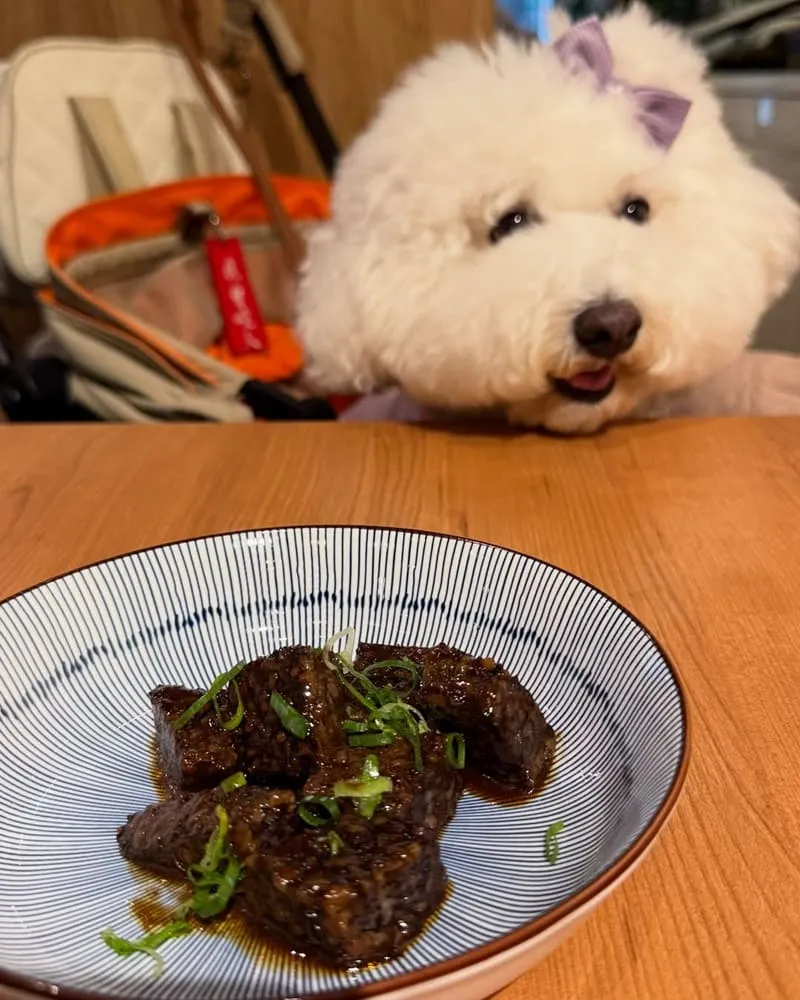 集英會牛肉麵桃園經國店