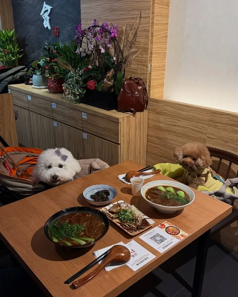 集英會牛肉麵桃園經國店