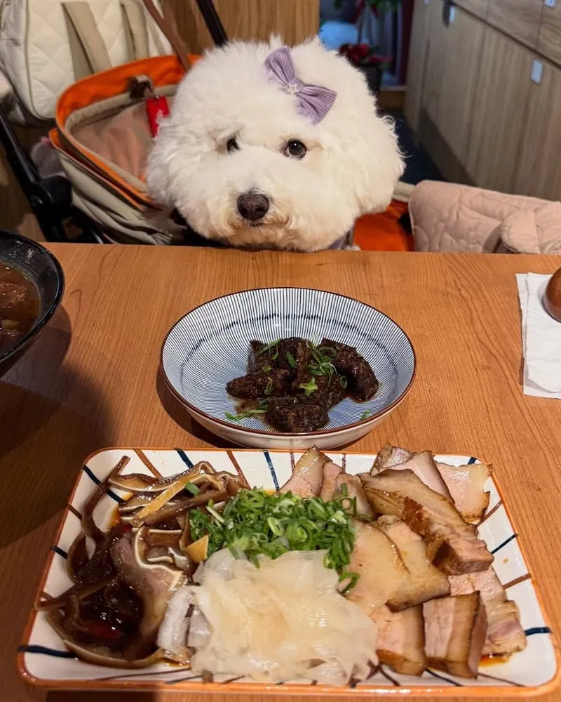 集英會牛肉麵桃園經國店