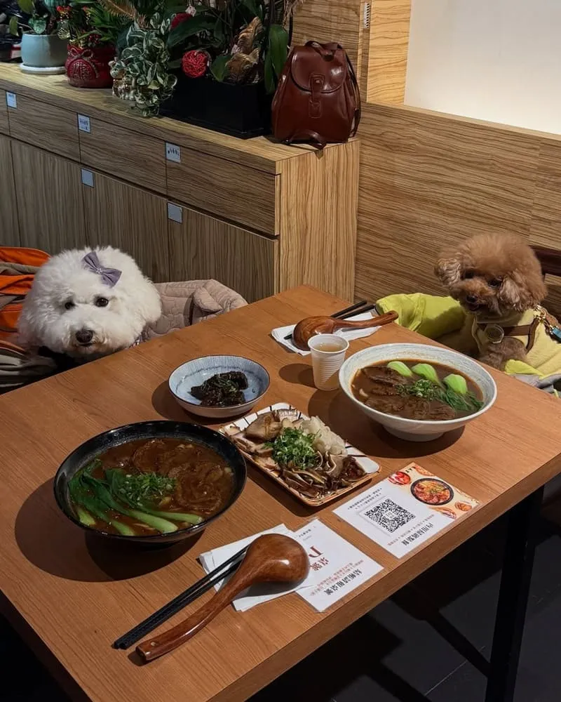 集英會牛肉麵桃園經國店