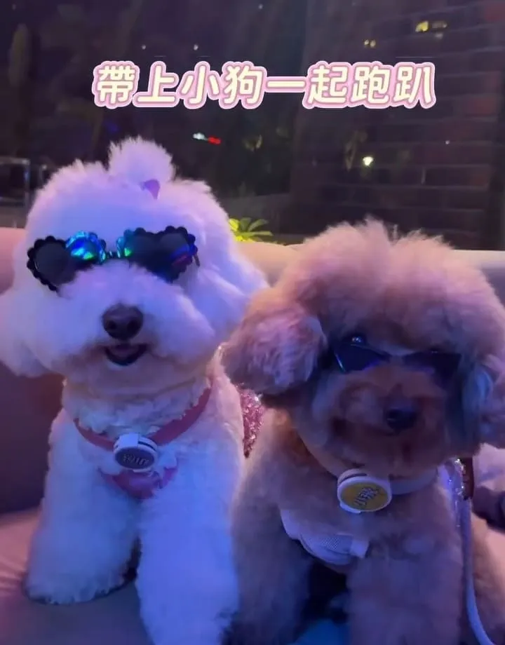 KARA KARA那夜桃園