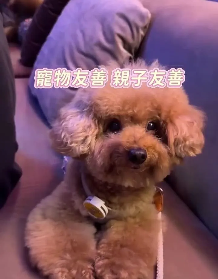 KARA KARA那夜桃園