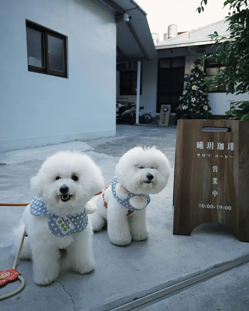 曦玥珈琲