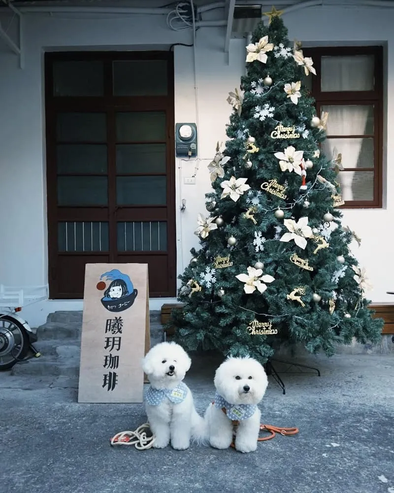 曦玥珈琲