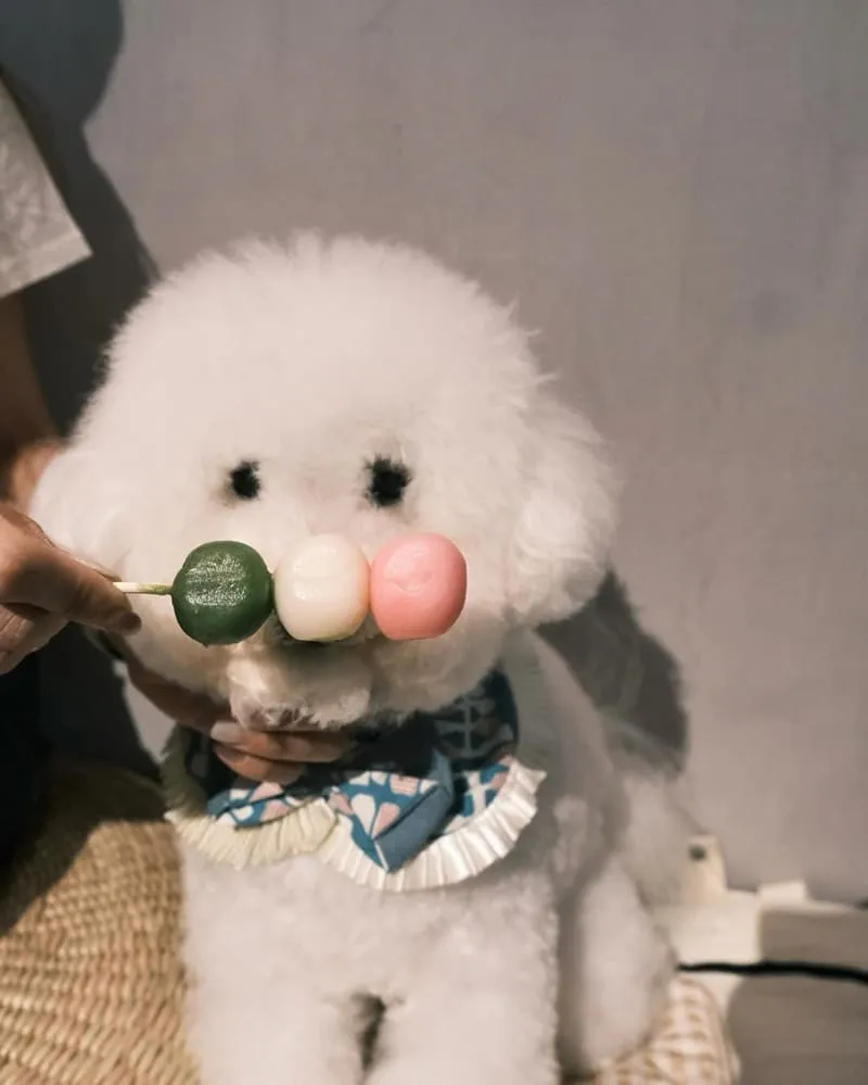京製茶 Kyo Cha
