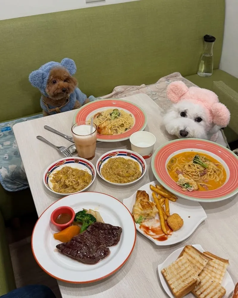 朵LA pasta桃園店