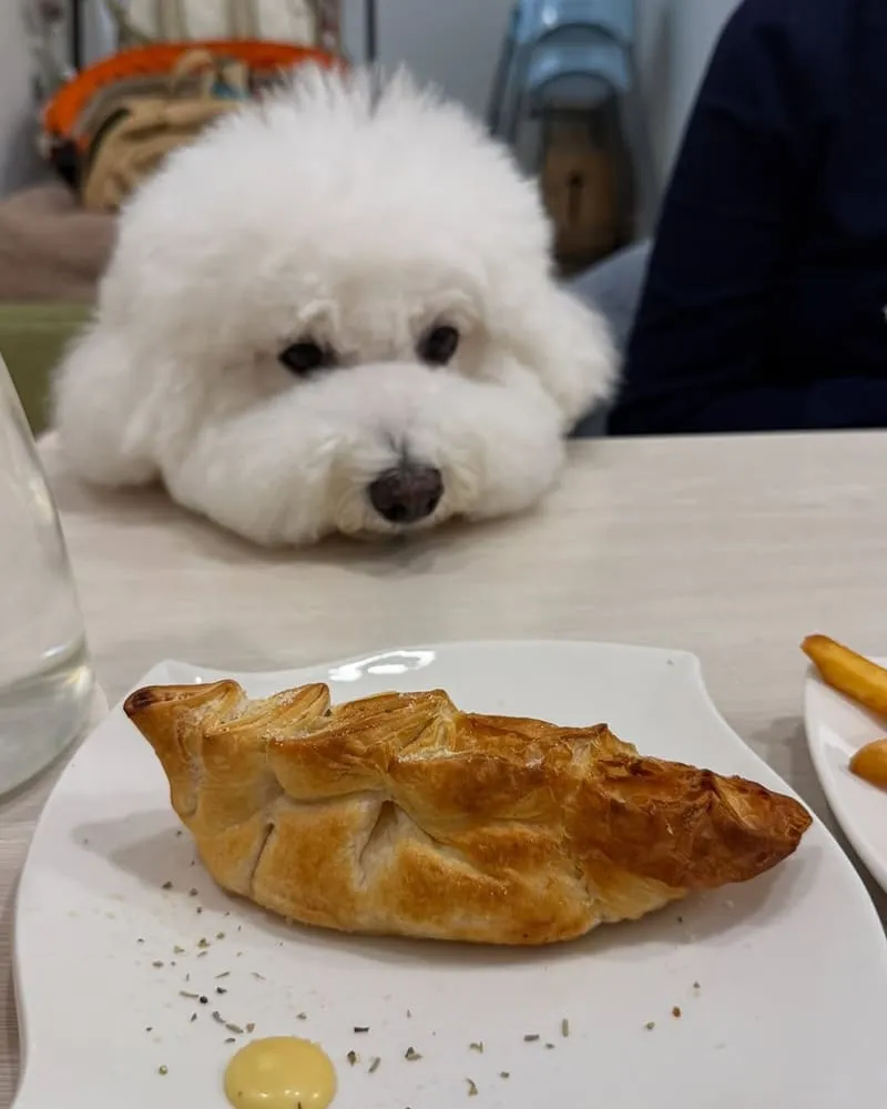 朵LA pasta桃園店