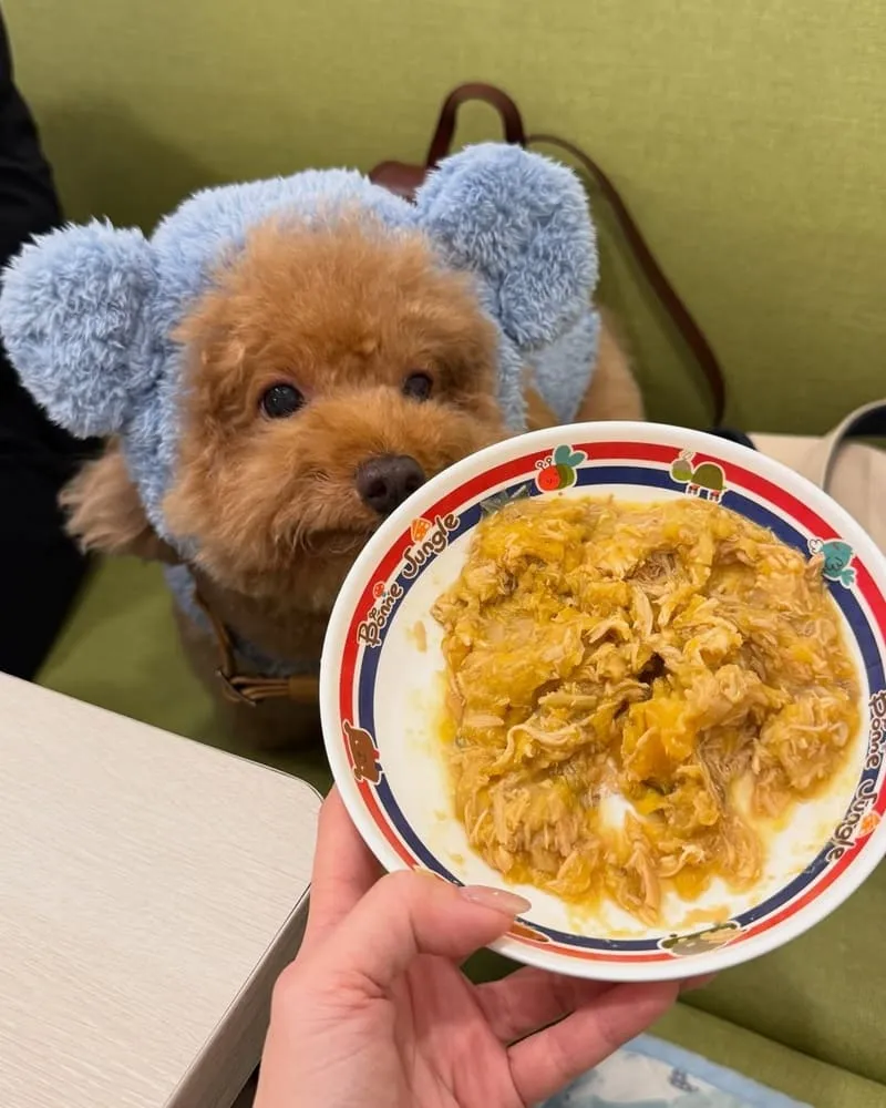 朵LA pasta桃園店