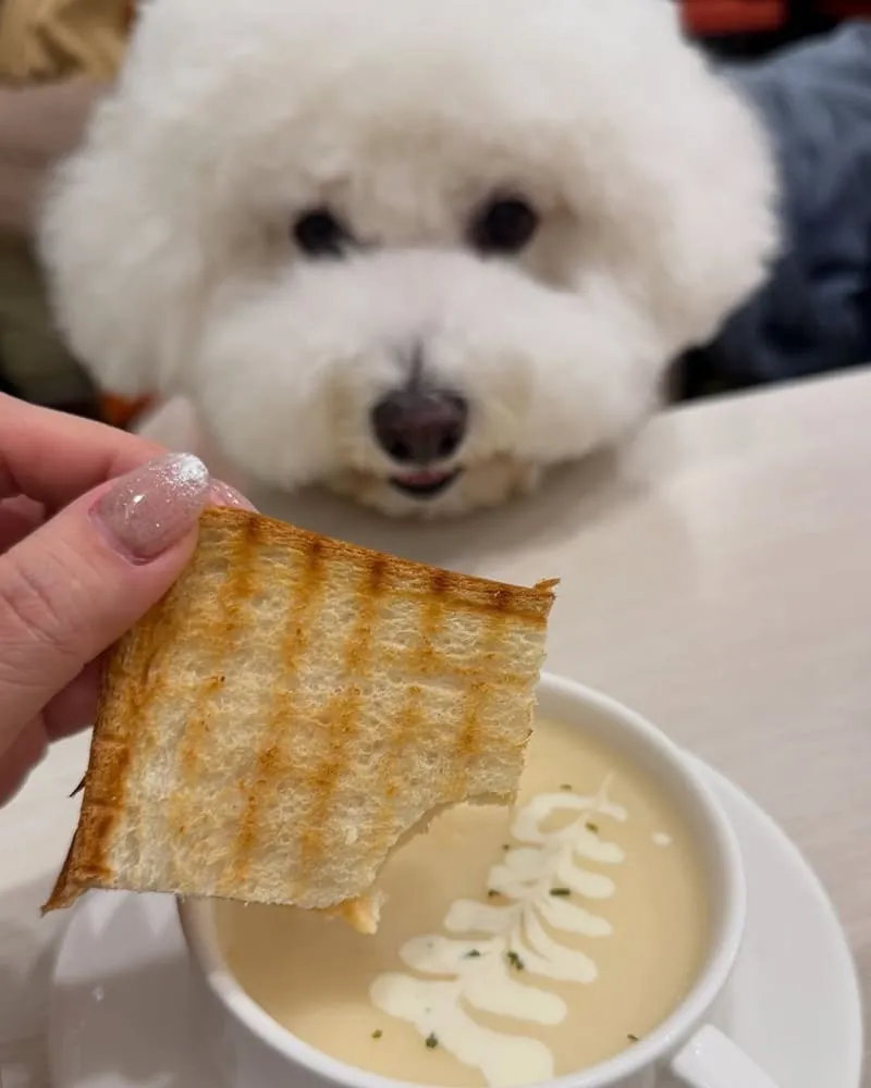 朵LA pasta桃園店