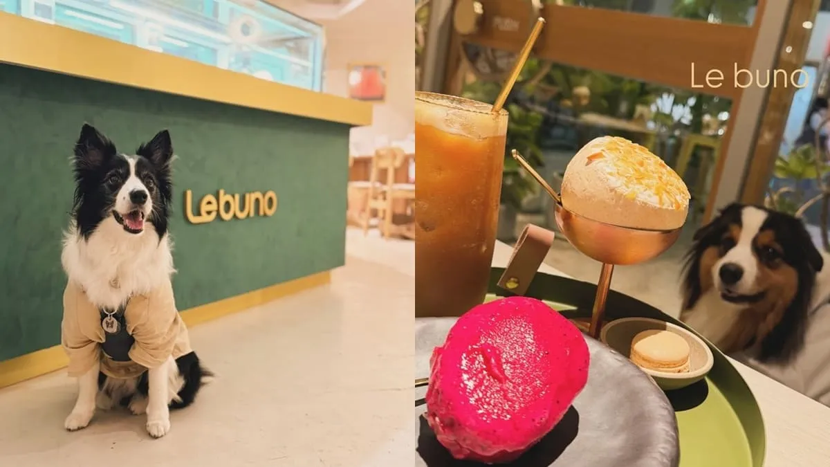 Le Bûno水果冰淇淋咖啡館