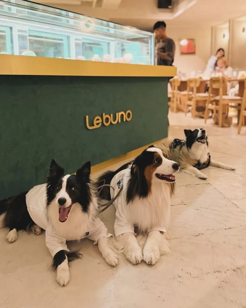Le Bûno水果冰淇淋咖啡館