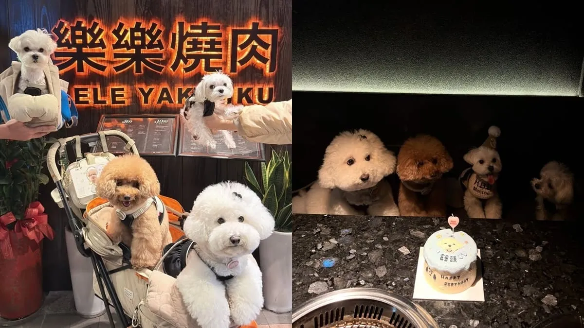 樂樂燒肉桃園旗艦店