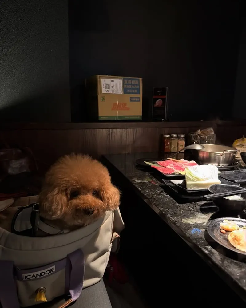 樂樂燒肉桃園旗艦店