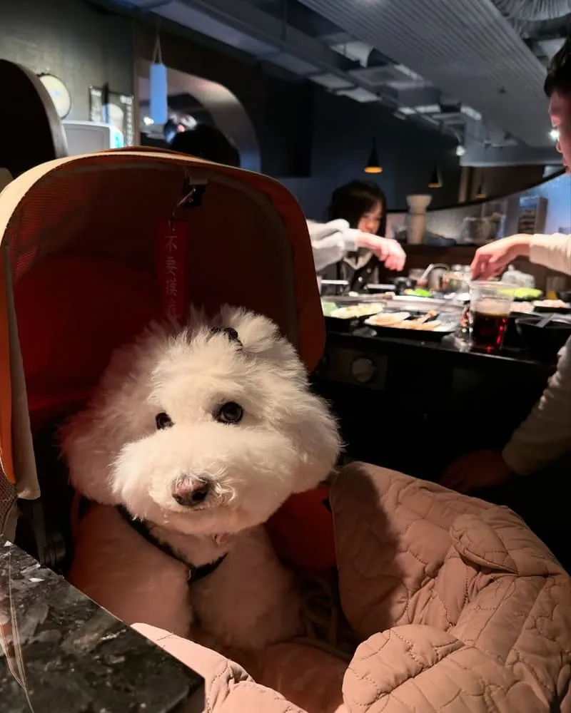 樂樂燒肉桃園旗艦店