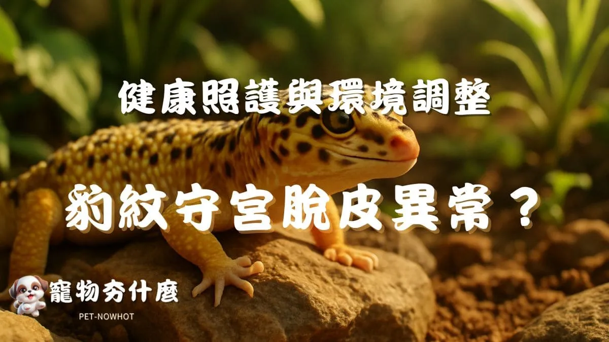 豹紋守宮脫皮異常？