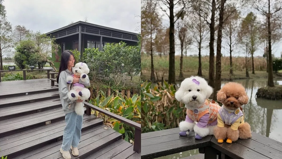 宜蘭日光綠築寵物友善