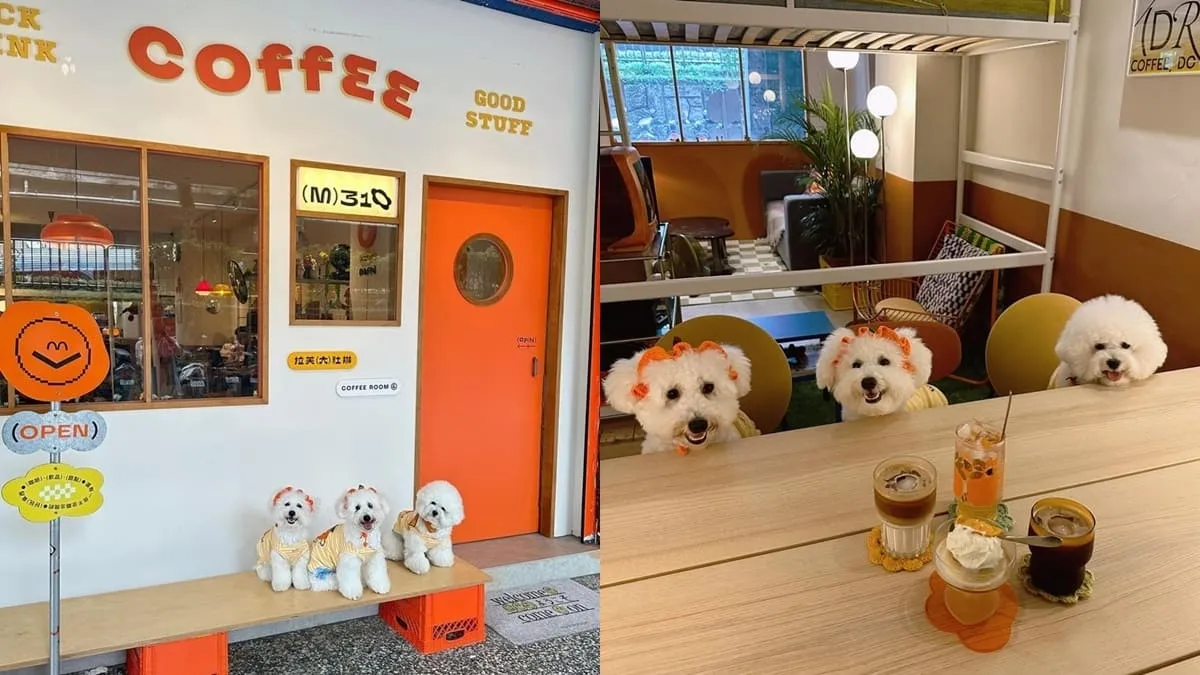 m310 coffeeroom