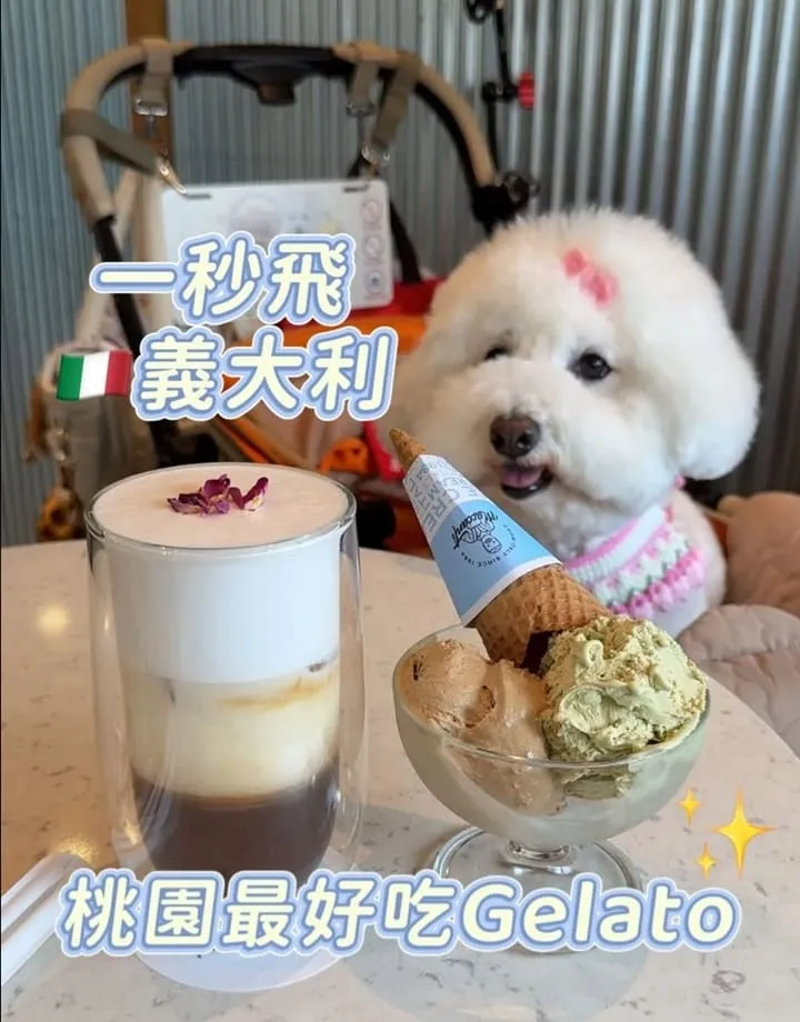 馬卡諦義大利冰淇淋桃園旗艦店