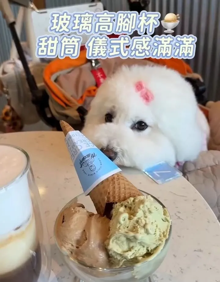 馬卡諦義大利冰淇淋桃園旗艦店