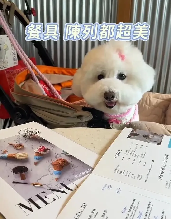 馬卡諦義大利冰淇淋桃園旗艦店