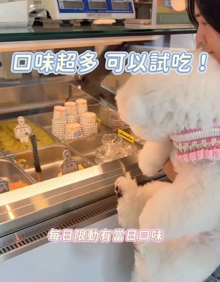 馬卡諦義大利冰淇淋桃園旗艦店