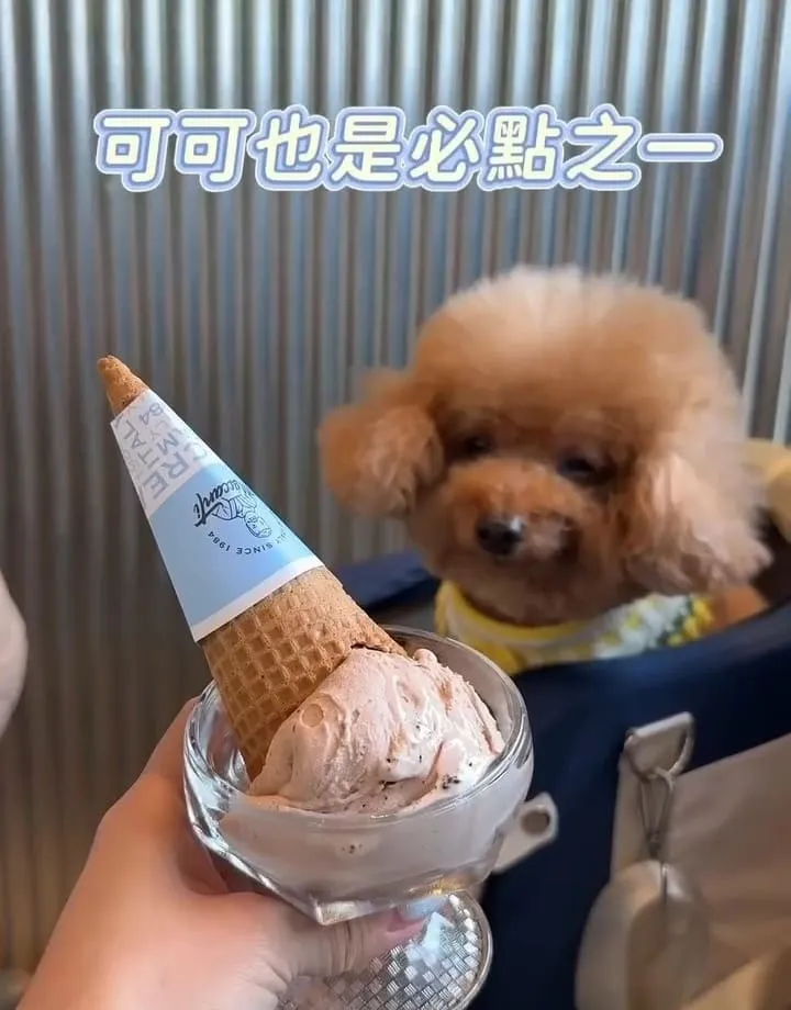 馬卡諦義大利冰淇淋桃園旗艦店