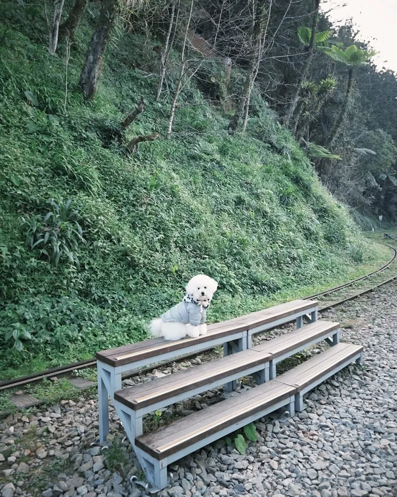 十字鳴心咖啡