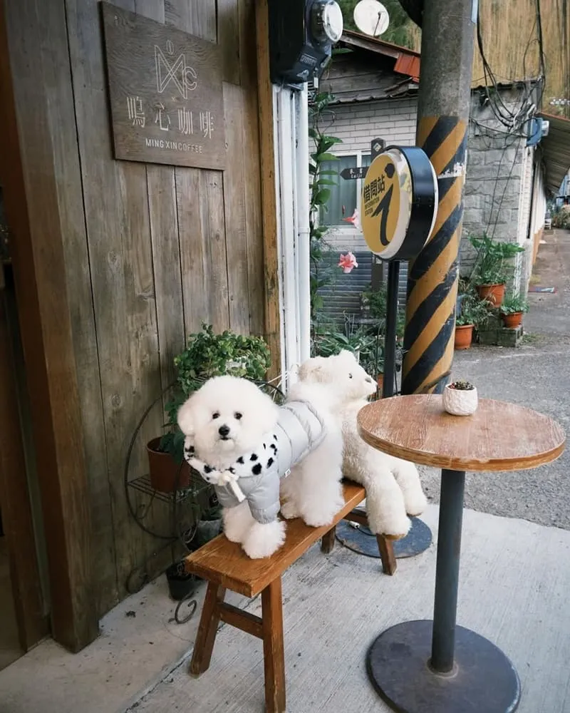 十字鳴心咖啡
