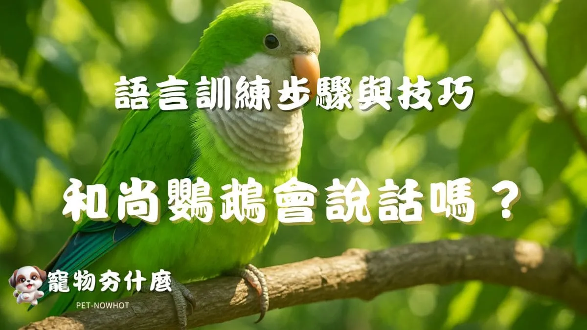 和尚鸚鵡會說話嗎？