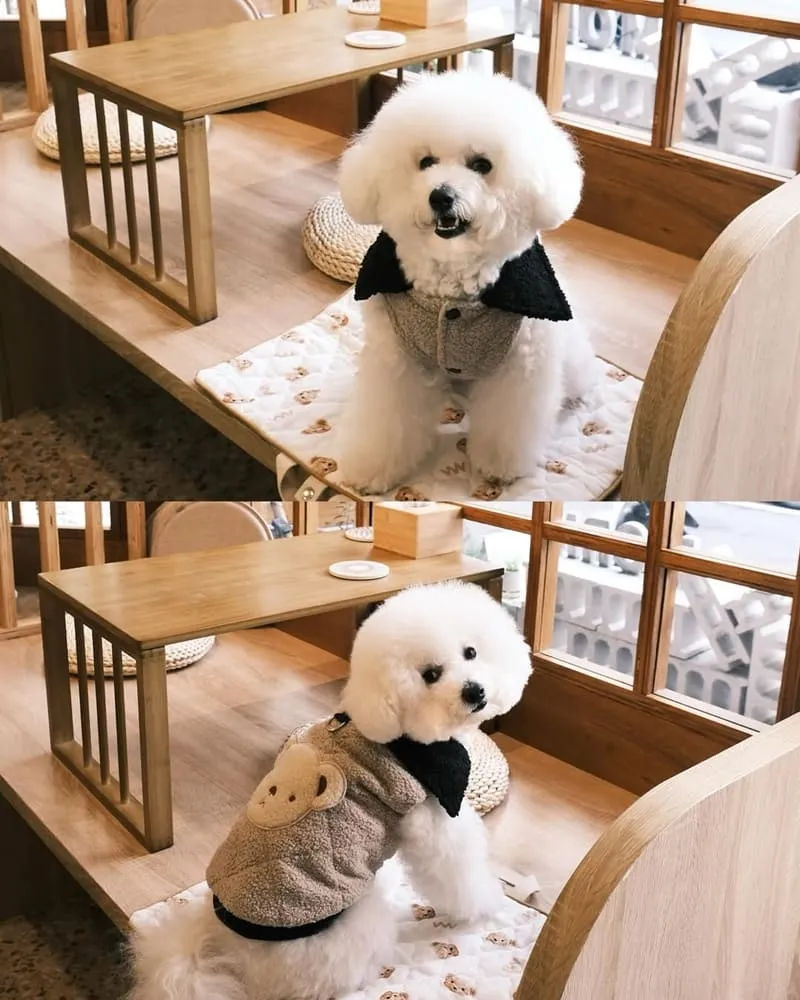 摩恩咖啡 Morn Cafe & Brunch