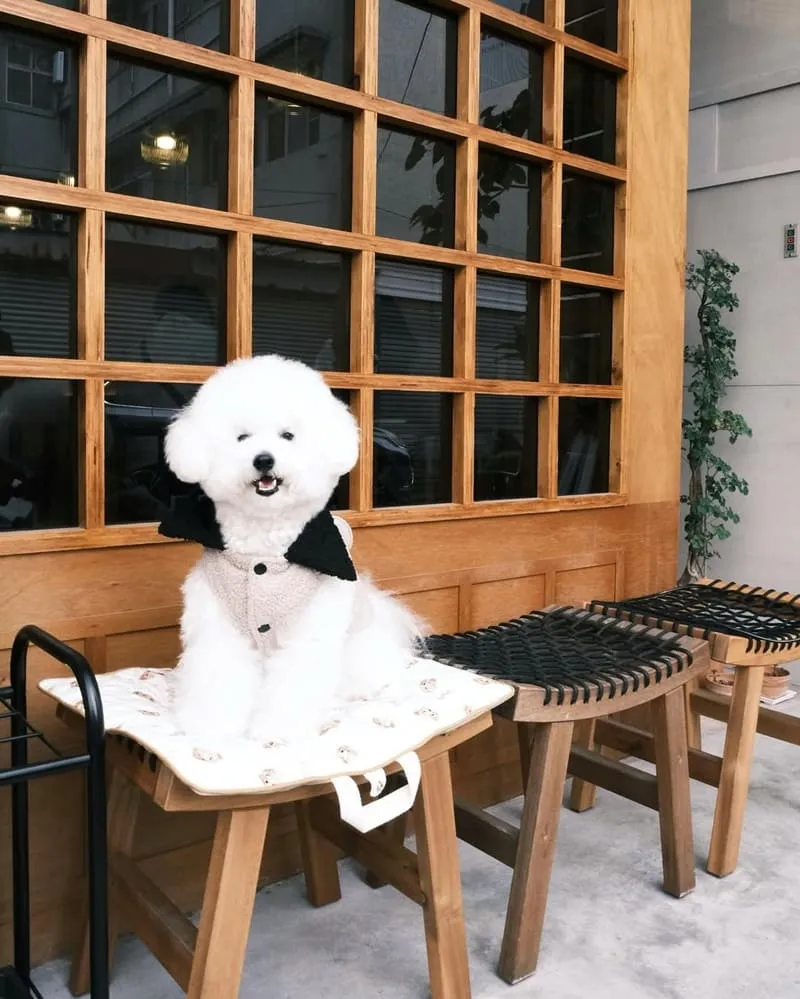 摩恩咖啡 Morn Cafe & Brunch
