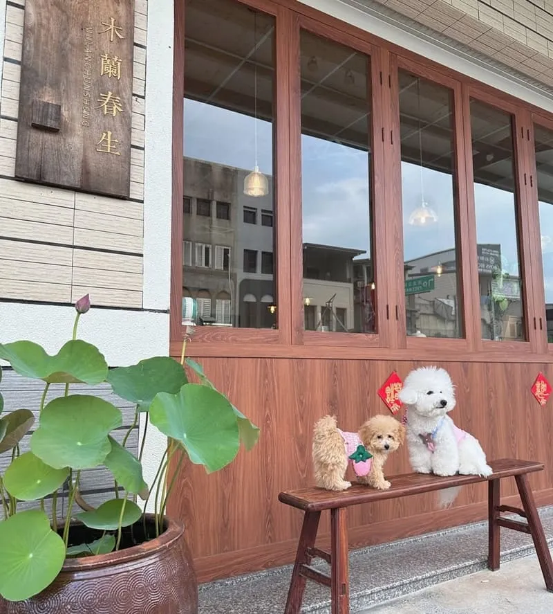 木蘭春生