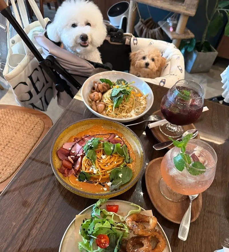 霧夜 Nafu Cafe