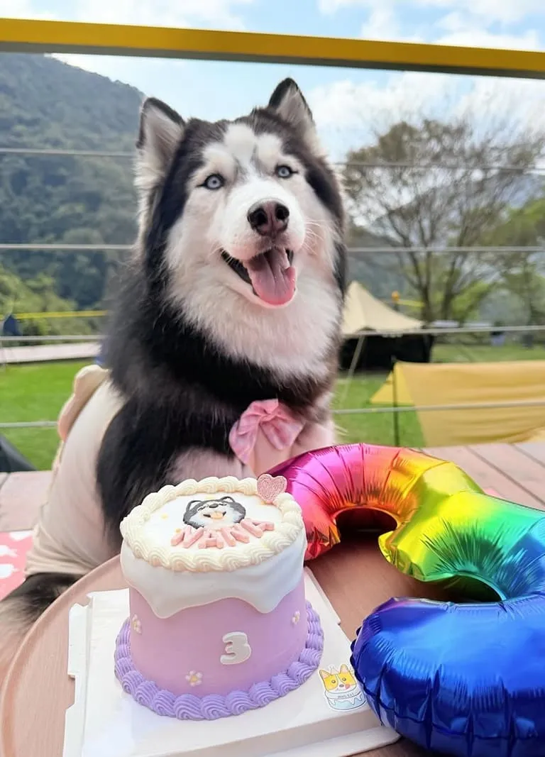 娜娜公主