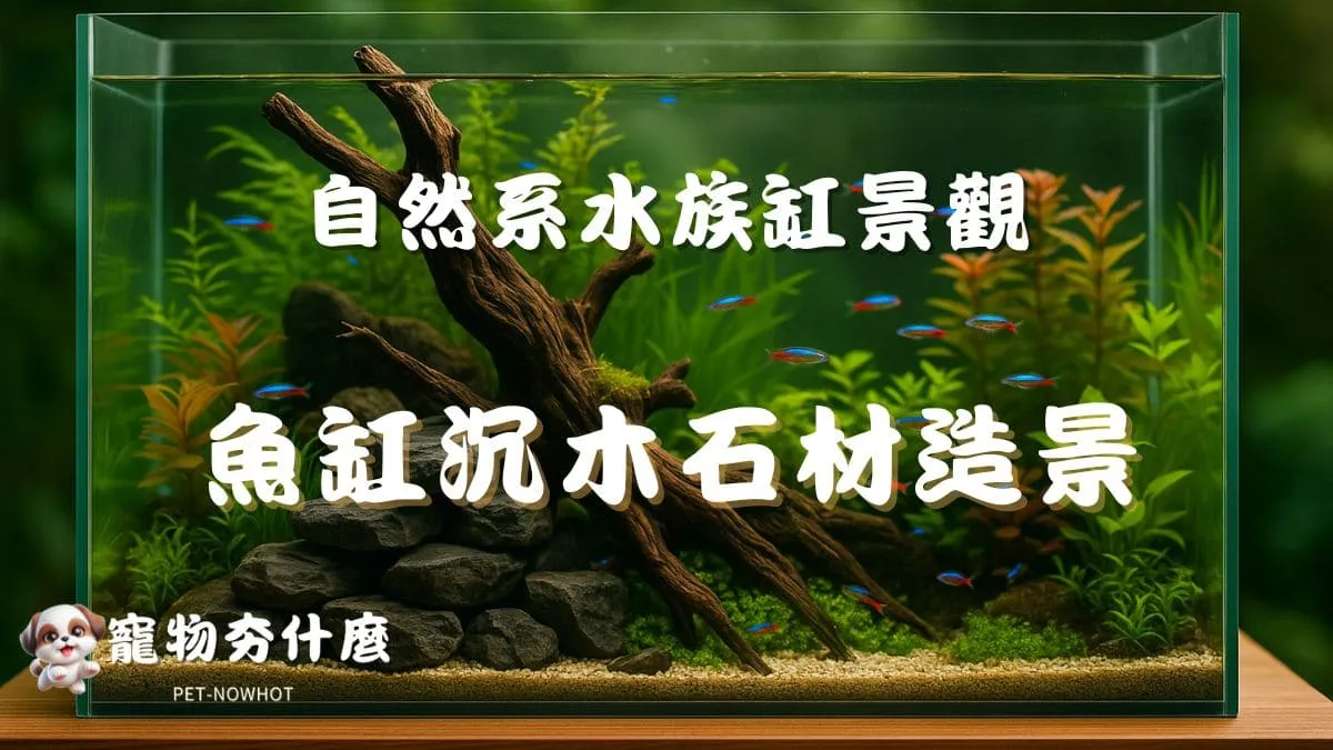 魚缸沉木石材造景設計