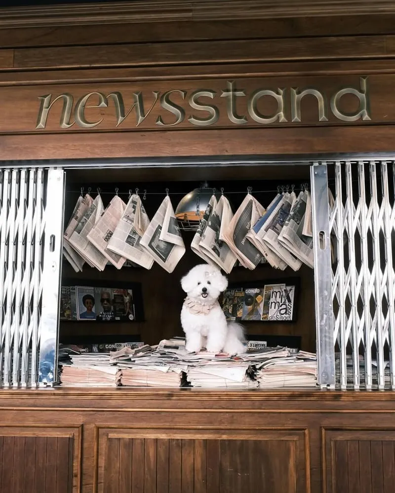 newsstand模範社區